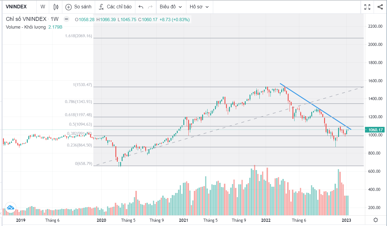 Thị trường tuần 16/01 đến 19/01/2023