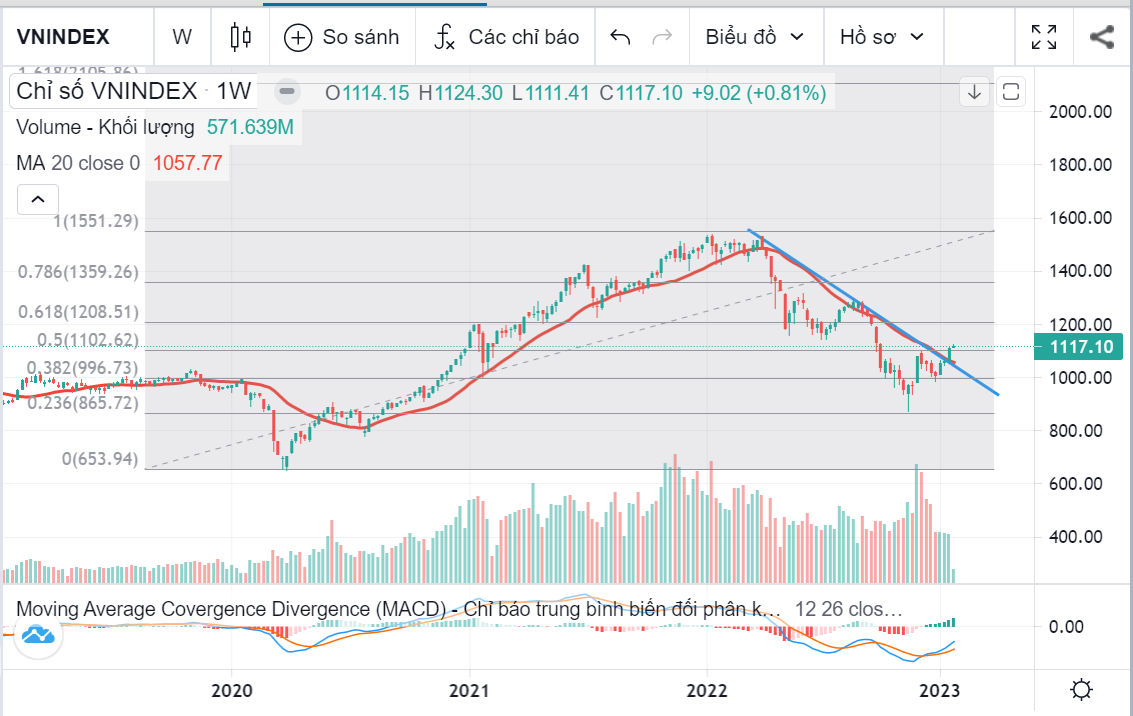 Thị trường tuần 30/01/2023 đến 03/02/2023