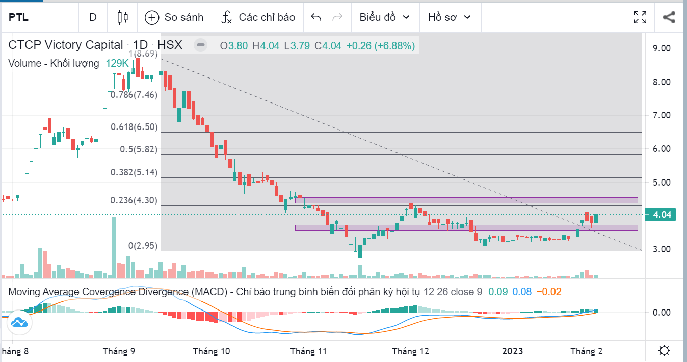 PTKT cổ phiếu PTL ngày 05/02/2023