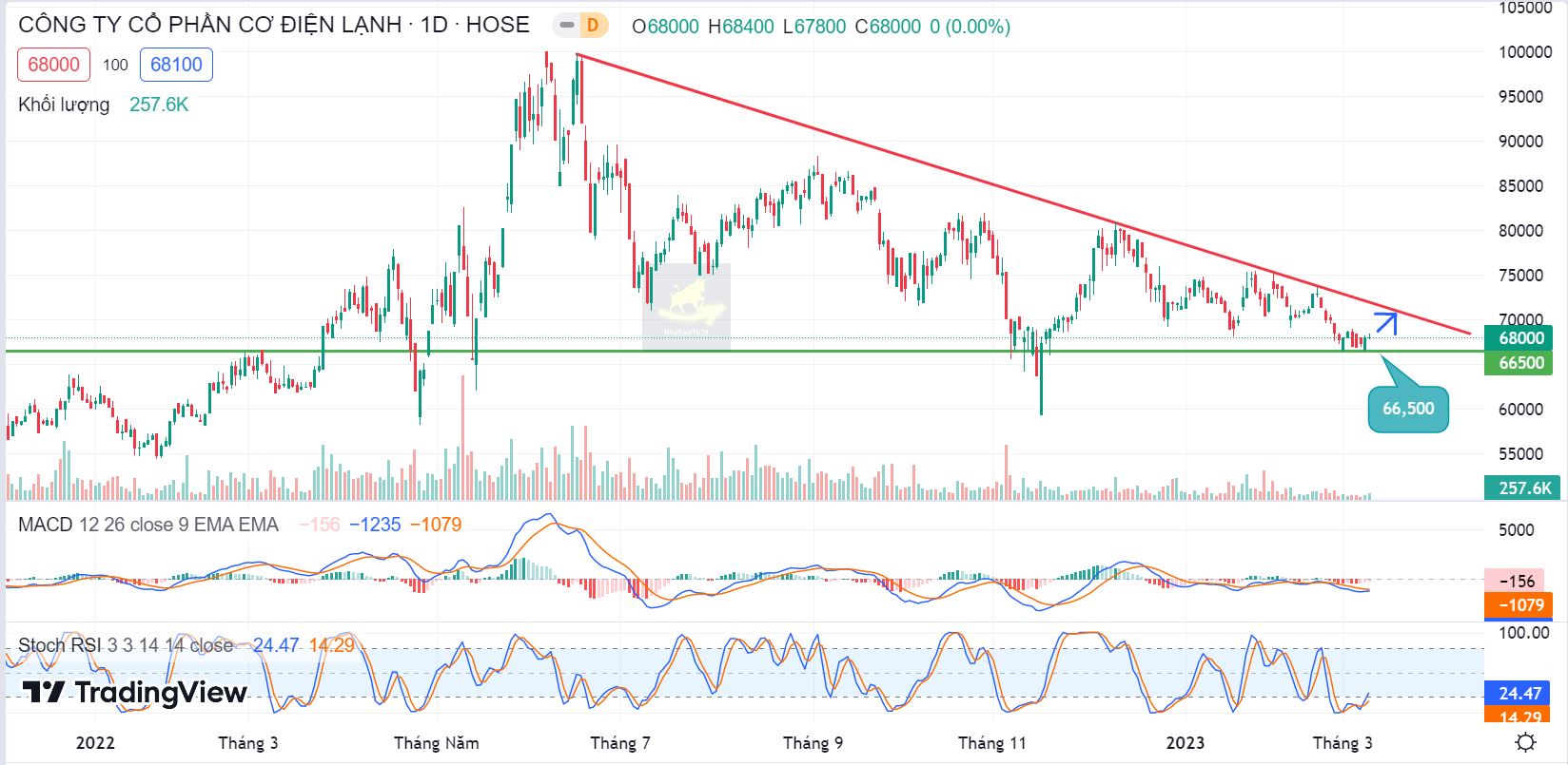 cập nhật cổ phiếu REE ngày 09/03/2023