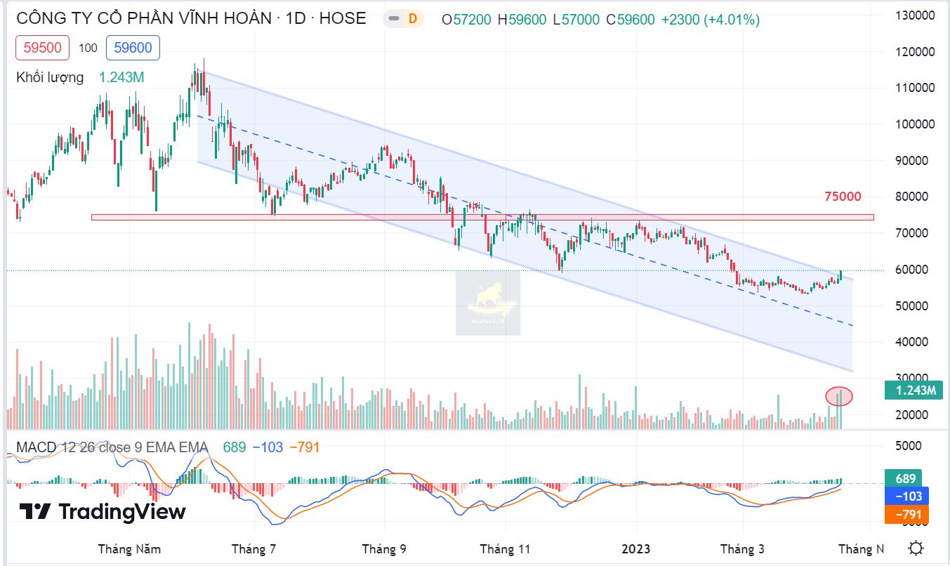 Báo cáo cập nhật cổ phiếu VHC ngày 17/04/2023