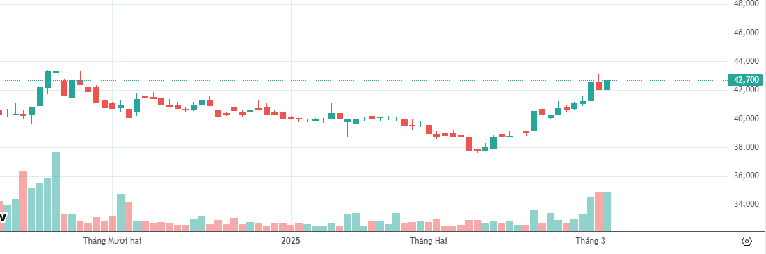 Đồ thị PTKT VHM